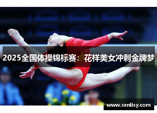 2025全国体操锦标赛:花样美女冲刺金牌梦 2025全国体操锦标赛:花样美女冲刺金牌梦
