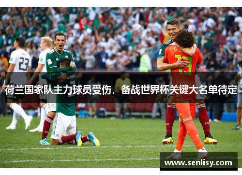 荷兰国家队主力球员受伤,备战世界杯关键大名单待定 荷兰国家队主力球员受伤,备战世界杯关键大名单待定